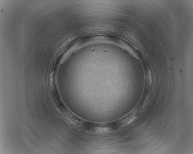 X0000069810360200605191051