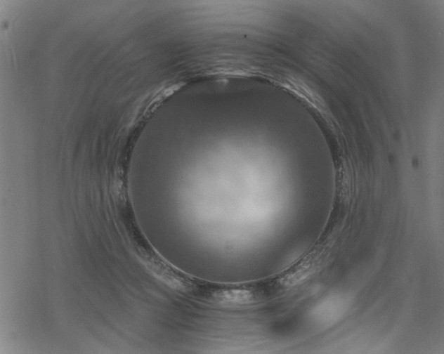 X0000069810361200605191051