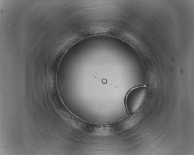 X0000069810362200605191051