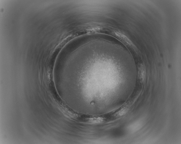 X0000069810363200605191051