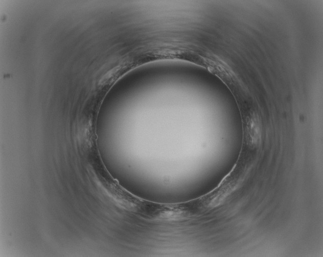 X0000069810364200605191051