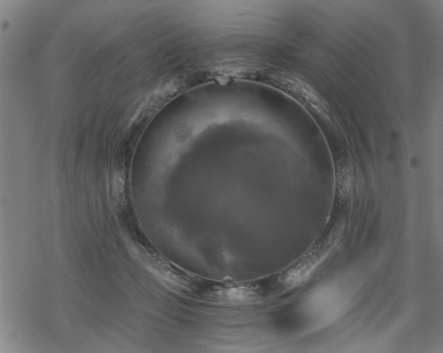 X0000069810365200605191051