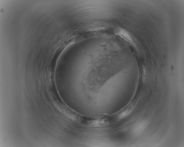 X0000069810366200605191051