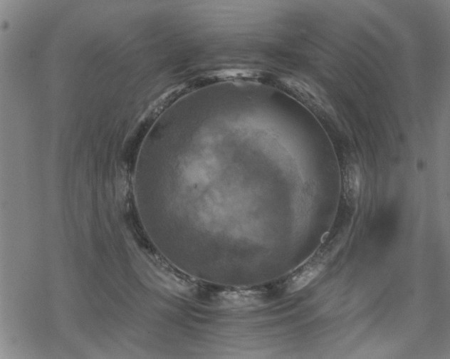 X0000069810367200605191051