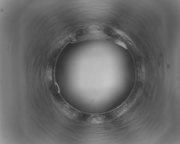 X0000069810368200605191051