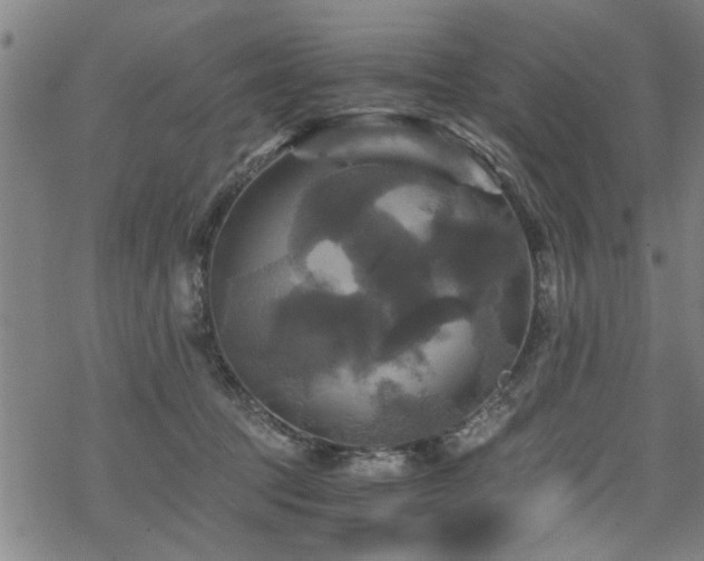 X0000069810369200605191051