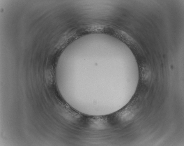 X0000069810370200605191051