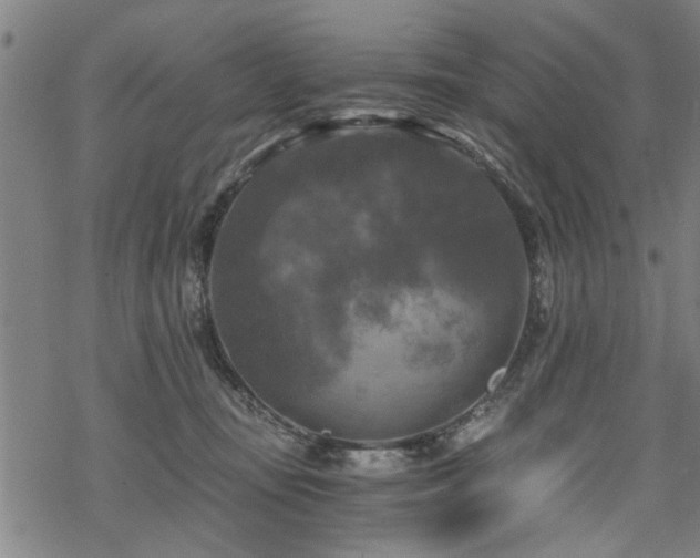 X0000069810371200605191051