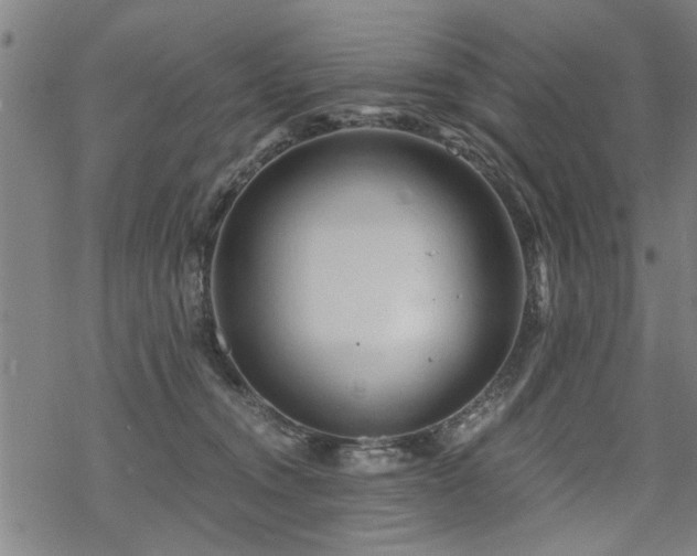 X0000069810372200605191051