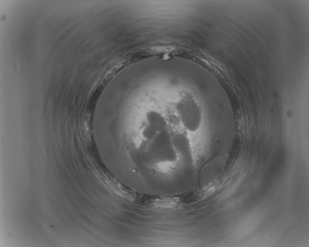 X0000069810373200605191052