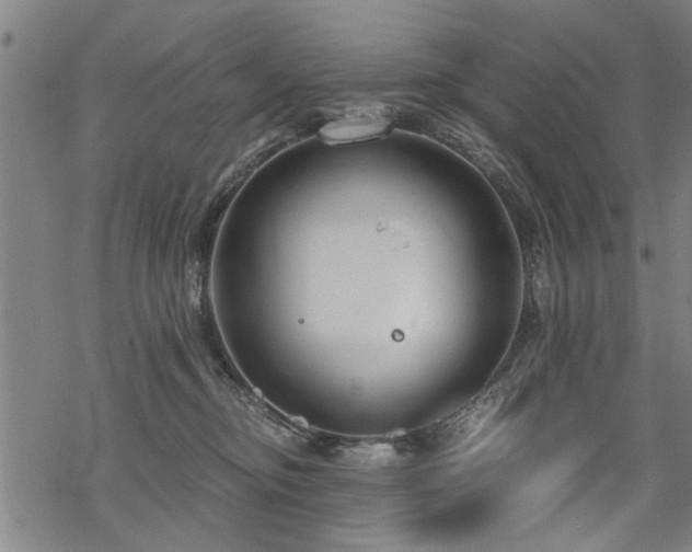 X0000069810374200605191052