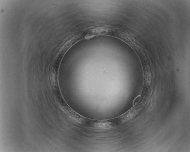 X0000069810375200605191052