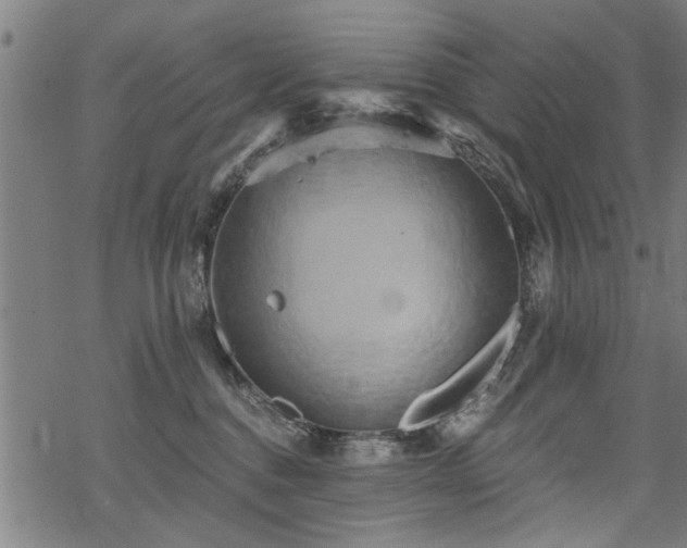 X0000069810376200605191052