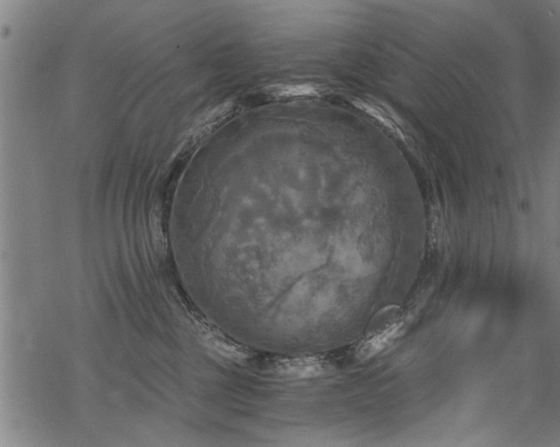 X0000069810377200605191052