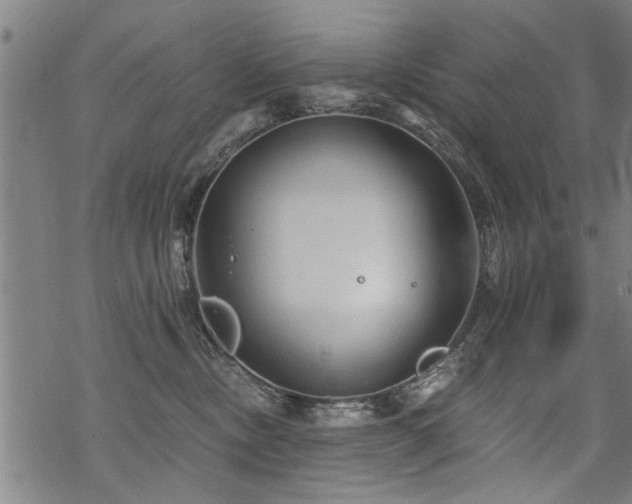 X0000069810378200605191052