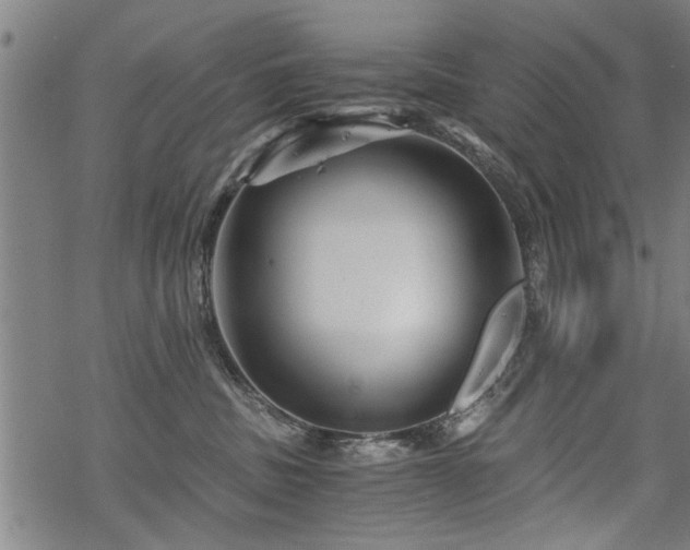 X0000069810379200605191052