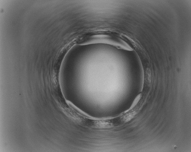 X0000069810380200605191052