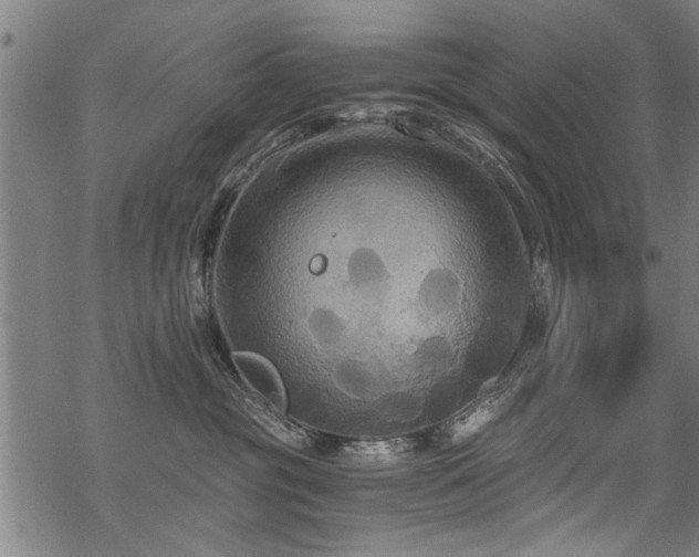 X0000069810381200605191052