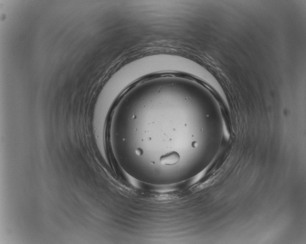 X0000069810382200605191052