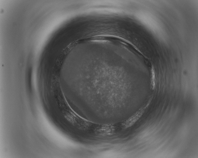 X0000069810383200605191052