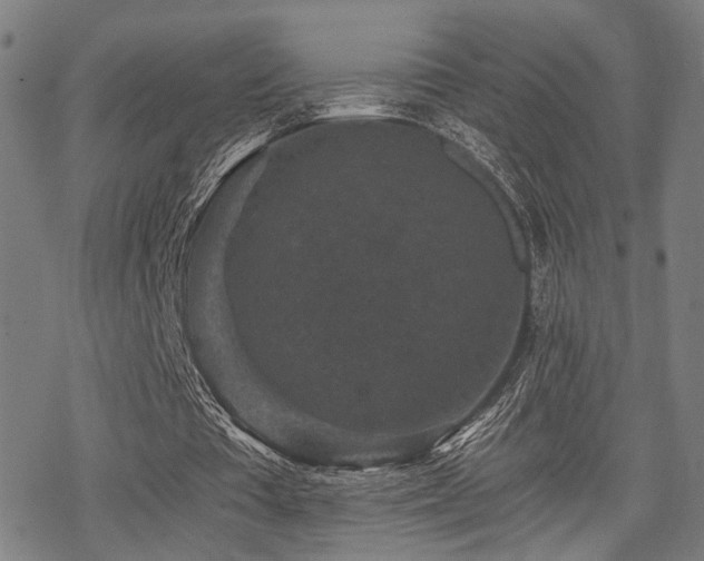 X0000069810385200605191051