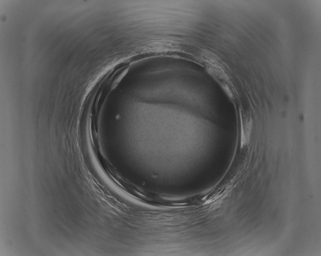 X0000069810387200605191051