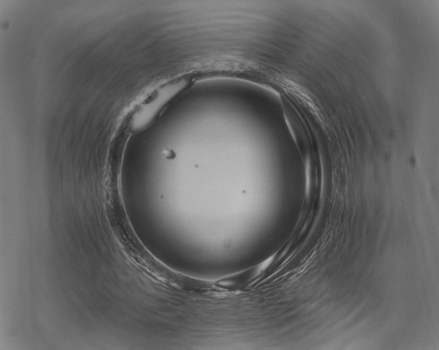 X0000069810388200605191051