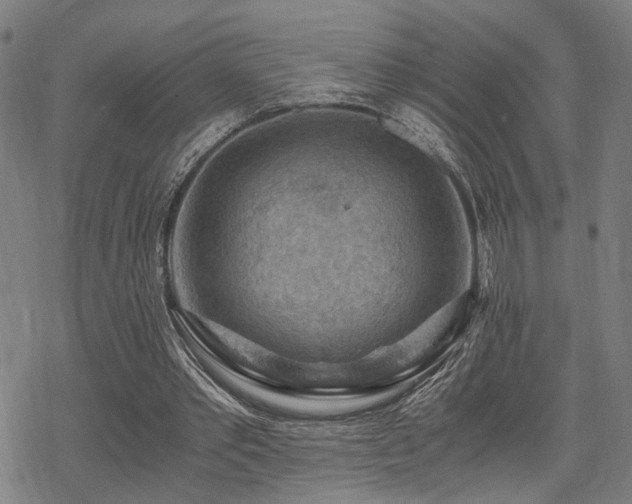 X0000069810389200605191051