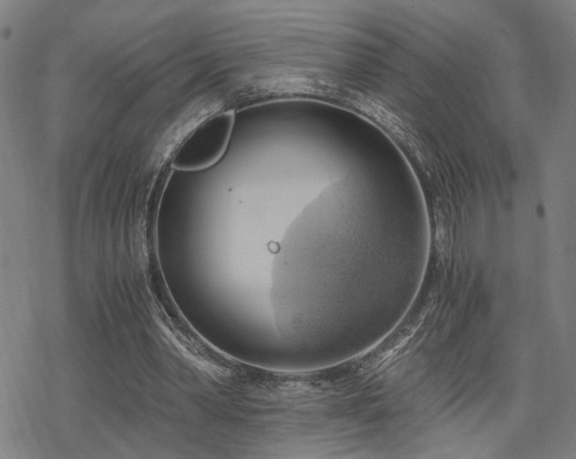 X0000069810390200605191051