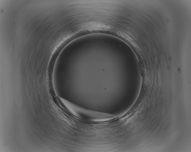 X0000069810391200605191051