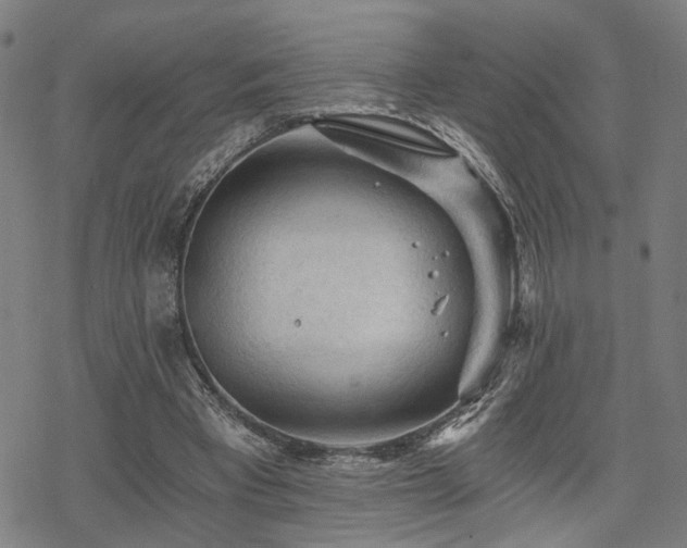 X0000069810393200605191051