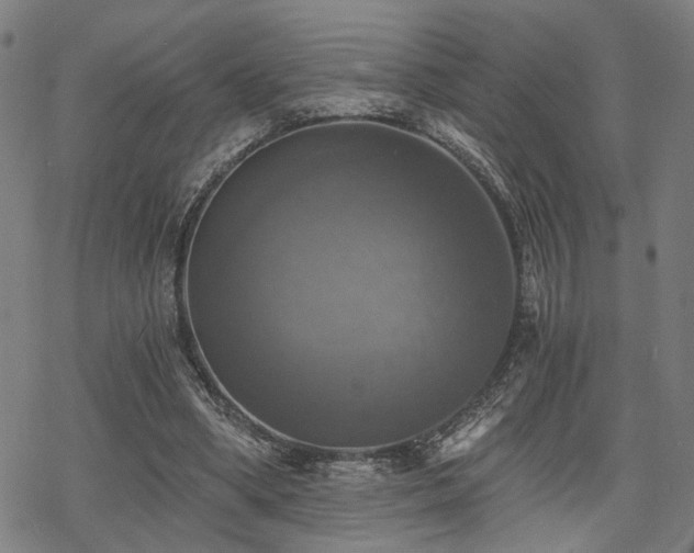 X0000069810394200605191051