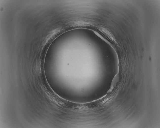 X0000069810395200605191051