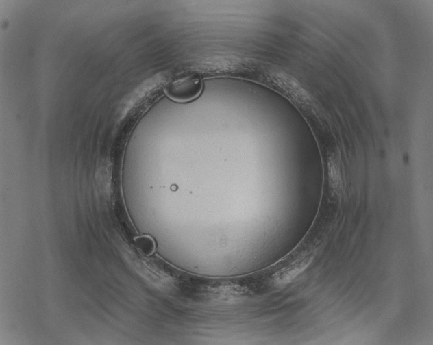 X0000069810396200605191051