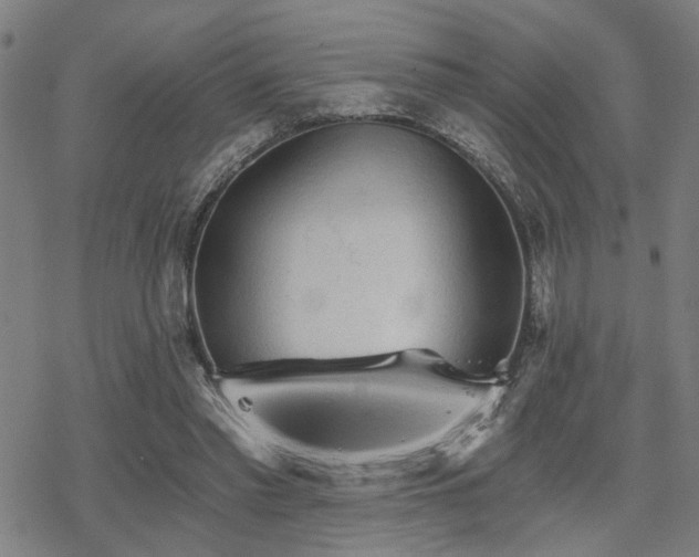 X0000069810397200605191051