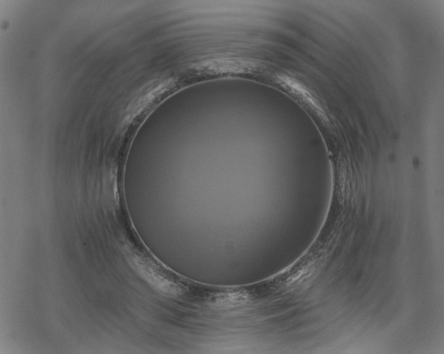 X0000069810398200605191051