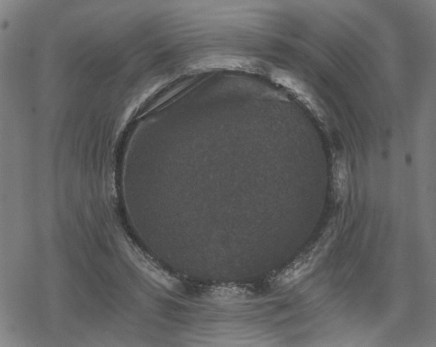 X0000069810399200605191051