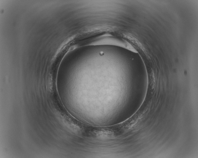 X0000069810400200605191051