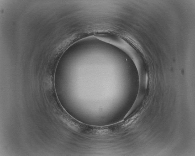 X0000069810401200605191051