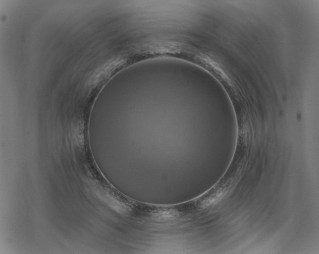 X0000069810402200605191051