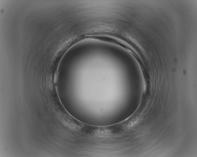 X0000069810403200605191051