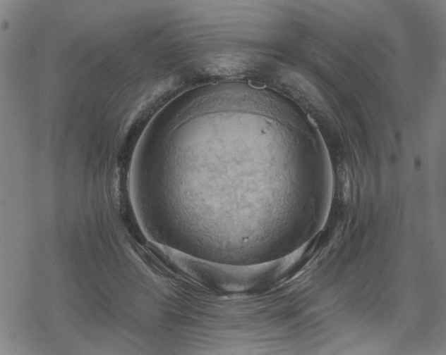 X0000069810404200605191051