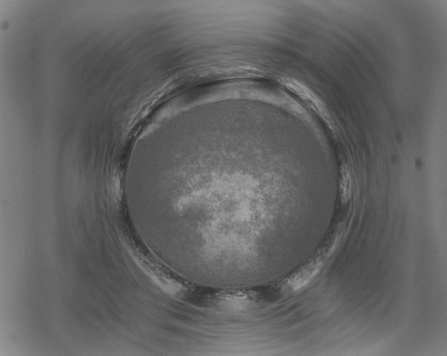 X0000069810405200605191051