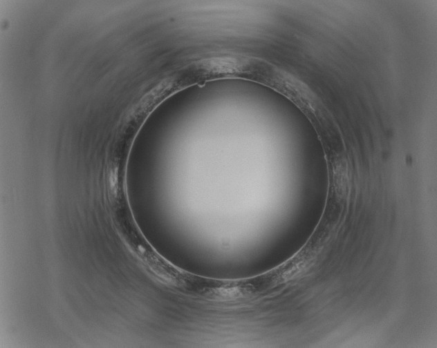 X0000069810406200605191051