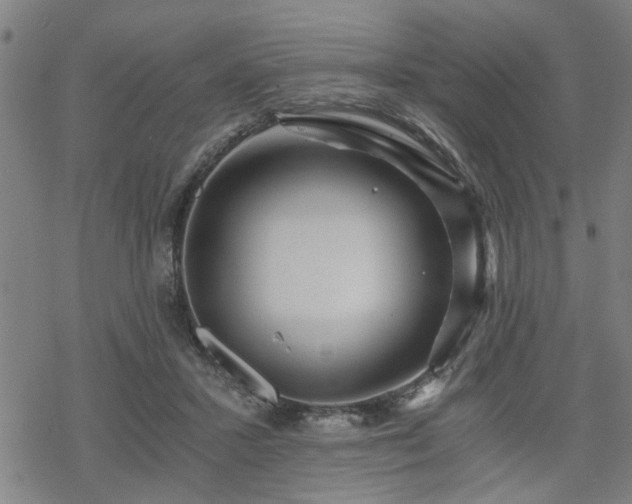 X0000069810407200605191051