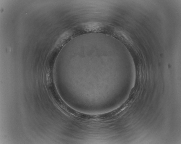 X0000069810408200605191051