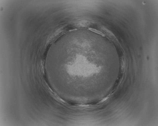 X0000069810409200605191050