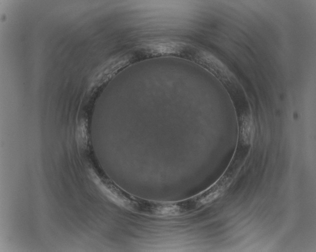 X0000069810410200605191050