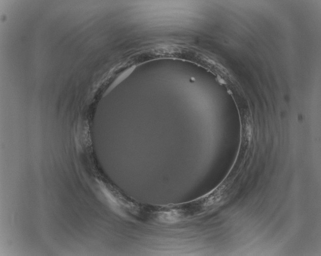 X0000069810411200605191050