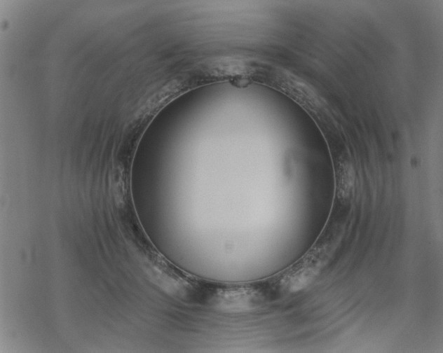 X0000069810414200605191050